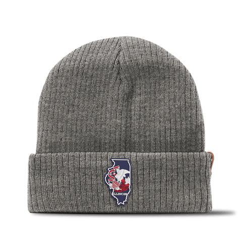 Illinois Patriot Series Essential Beanie Gray