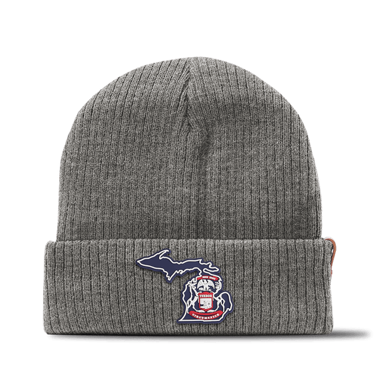 Michigan Patriot Series Essential Beanie Gray