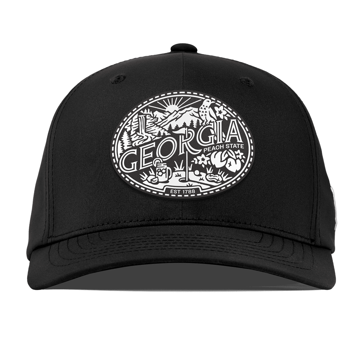 Georgia Traveler Flexfit Performance Fitted Black