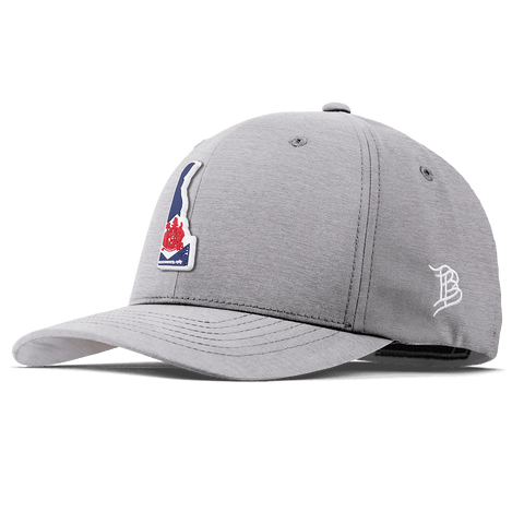 Delaware Patriot Series Flexfit Performance Fitted Heather Gray
