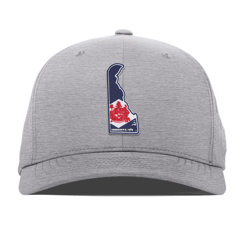 Delaware Patriot Series Flexfit Performance Fitted Heather Gray