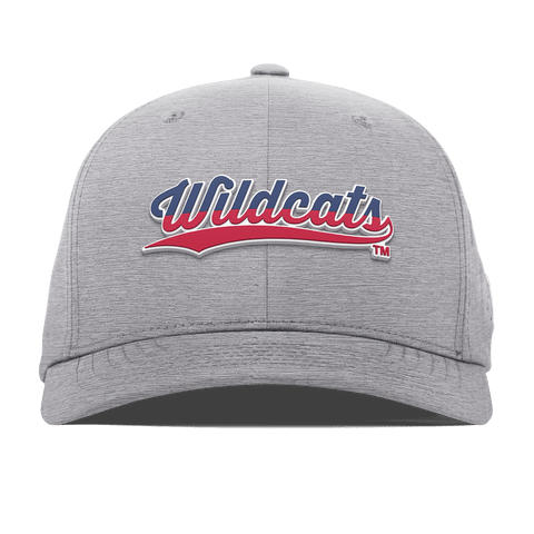 University of Arizona "Wildcats Baseball Script" Flexfit Performance Fitted Heather Gray