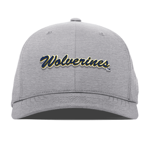 University of Michigan "Wolverines Script" Flexfit Performance Fitted Heather Gray