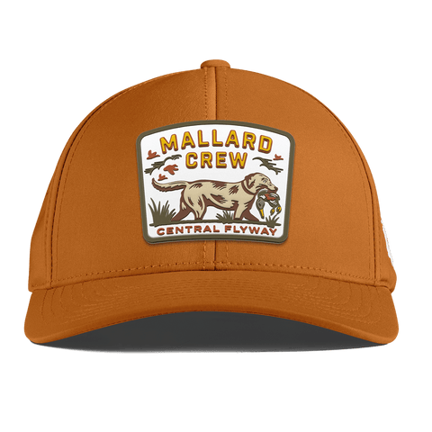 Mallard Crew Curved Performance Burnt Orange