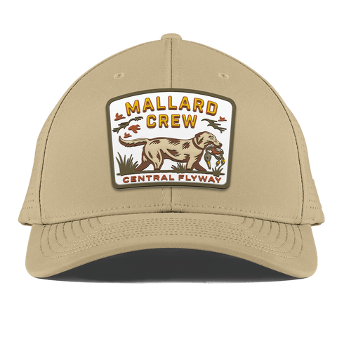 Mallard Crew Curved Elite Xgen® Desert