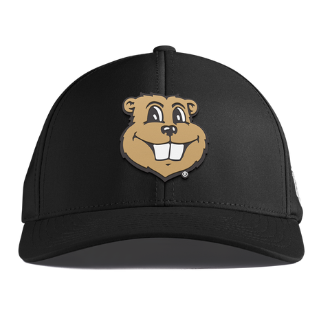 University of Minnesota "Goldy Gopher" Curved Performance Black