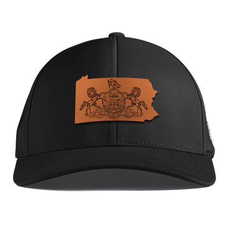 Pennsylvania 2 Curved Performance