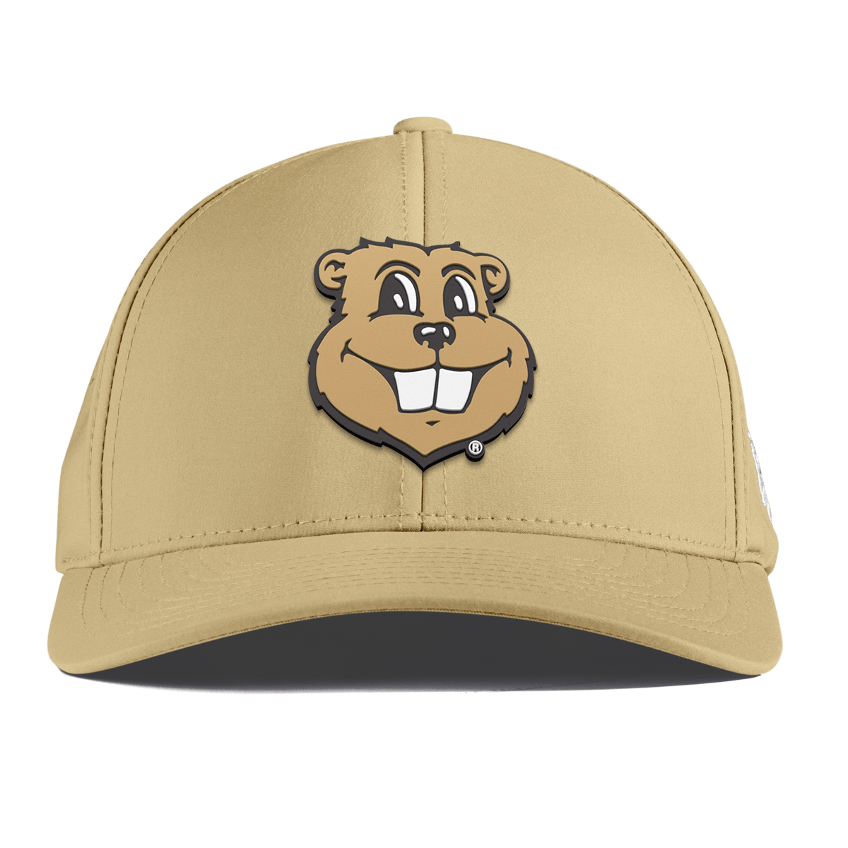 University of Minnesota "Goldy Gopher" Curved Performance Desert