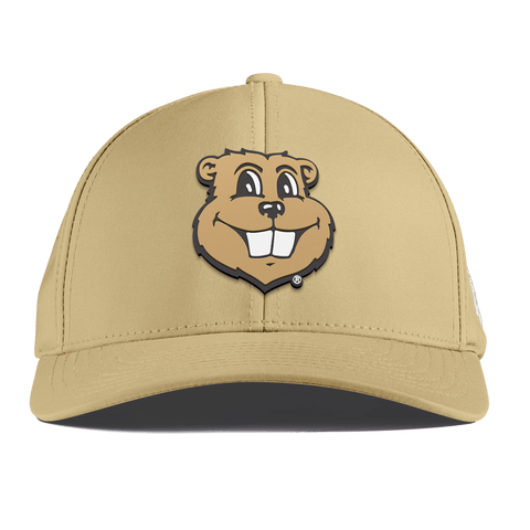 University of Minnesota "Goldy Gopher" Curved Performance Desert
