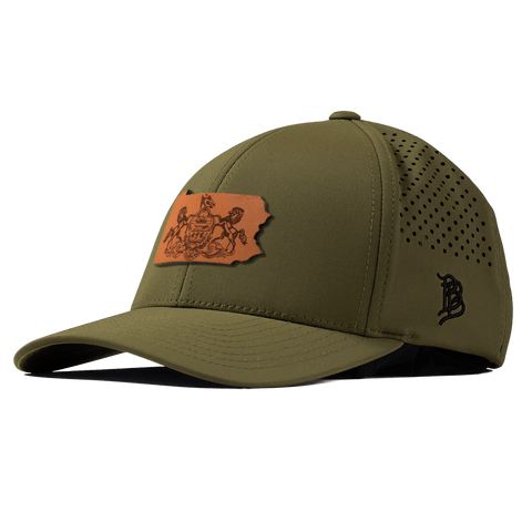 Pennsylvania 2 Curved Performance