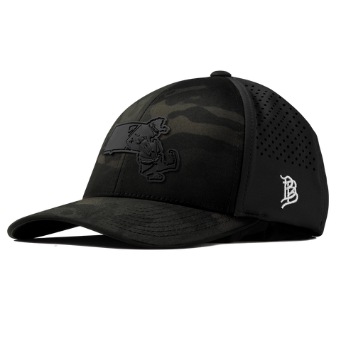 Massachusetts Stealth Curved Performance Multicam