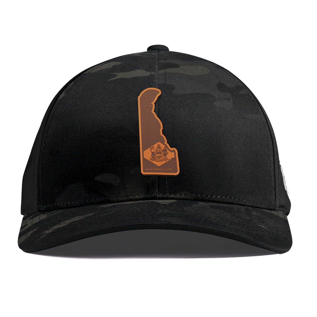 Delaware 1 Curved Performance Multicam