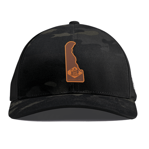 Delaware 1 Curved Performance Multicam