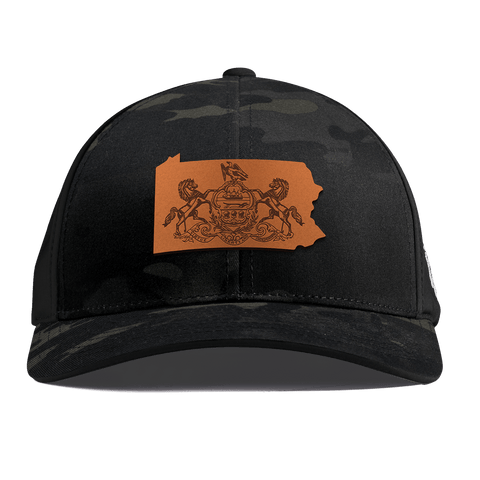 Pennsylvania 2 Curved Performance