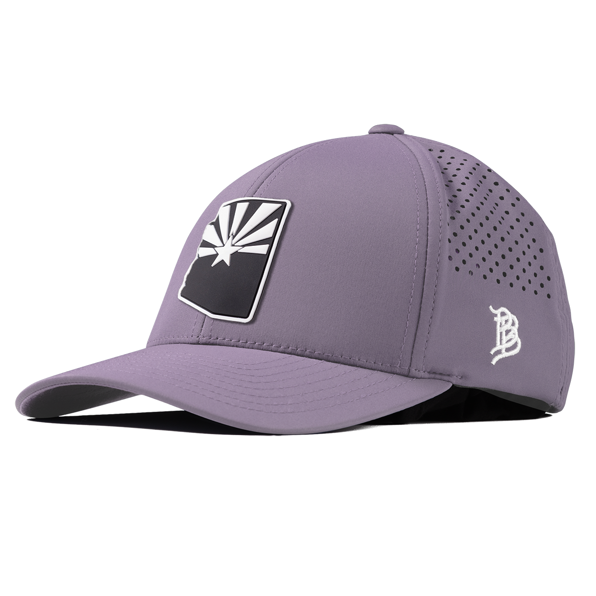 Arizona Vintage Curved Performance Purple