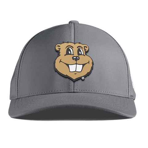 University of Minnesota "Goldy Gopher" Curved Performance Slate