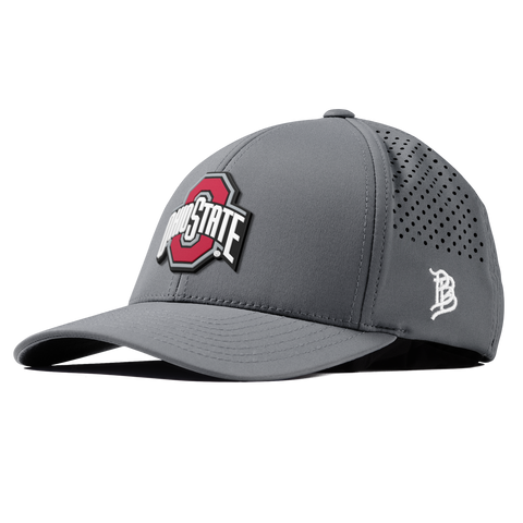 Ohio State University "Ohio State Gray Team Logo" Curved Performance Slate