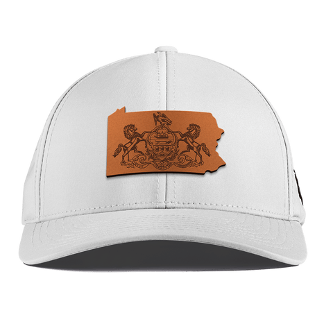 Pennsylvania 2 Curved Performance