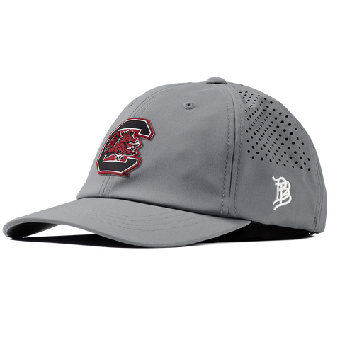University of South Carolina "Gamecocks Garnet" Performance Dad Hat Slate