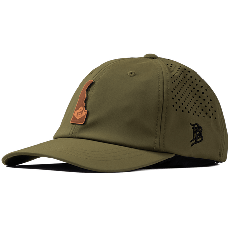 Delaware 1 Performance Dad Hat Loden