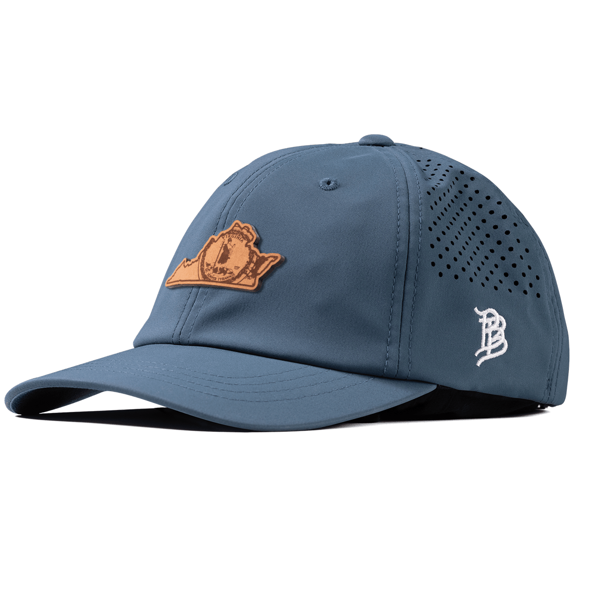 Virginia 10 Performance Dad Hat Orion