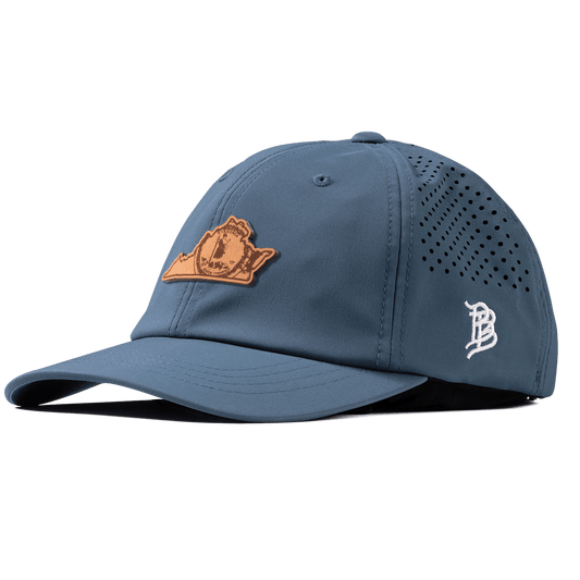 Virginia 10 Performance Dad Hat Orion