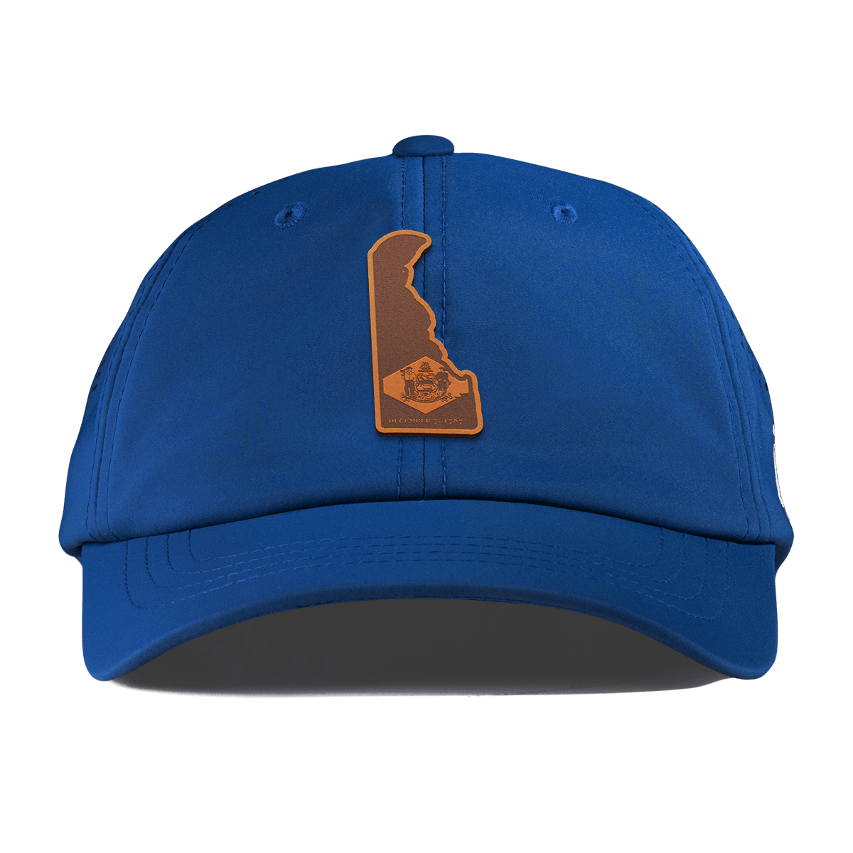 Delaware 1 Performance Dad Hat Royal