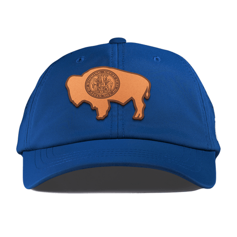 Wyoming 44 Performance Dad Hat Royal