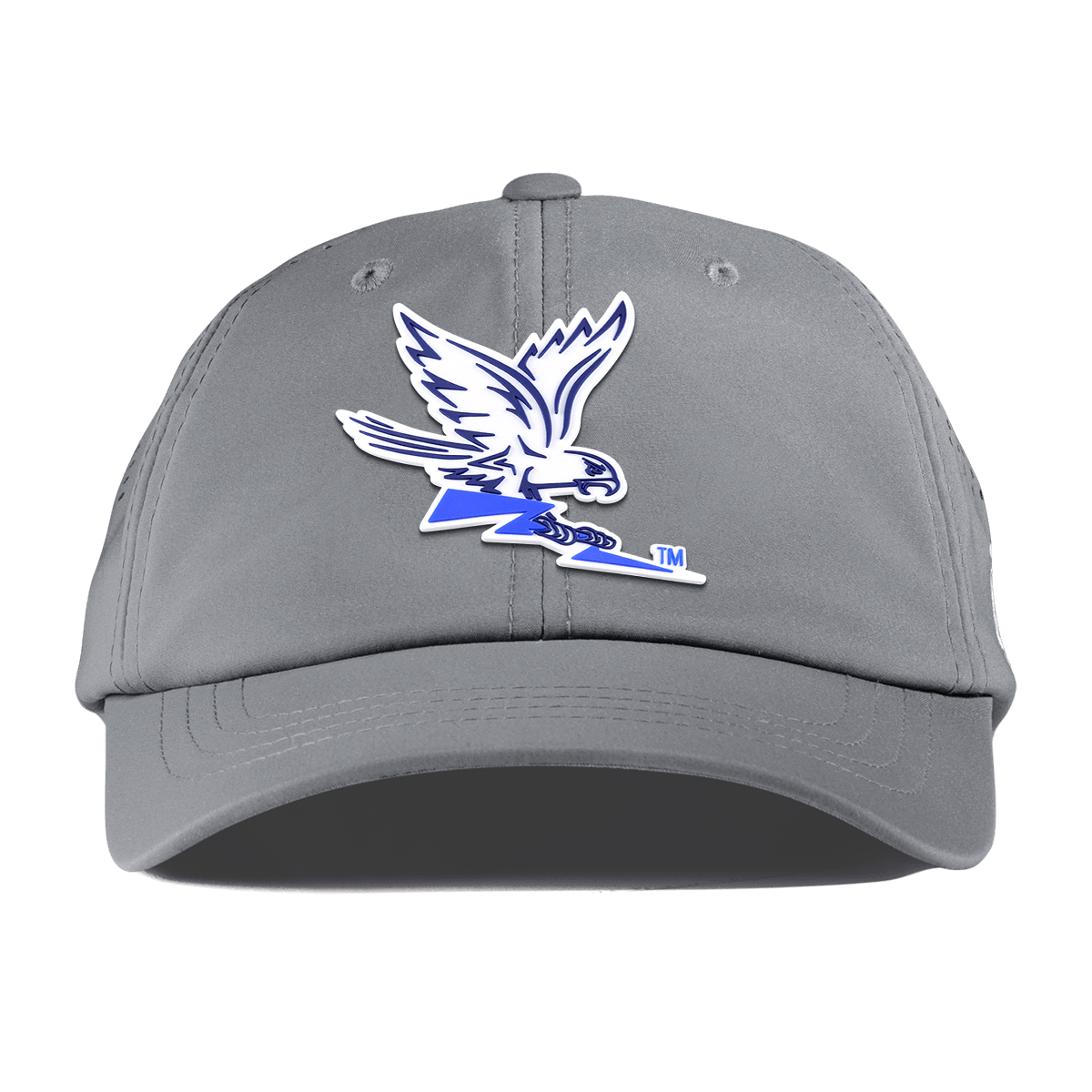 Air Force "Air Force Academy Falcon" Performance Dad Hat Slate