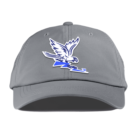 Air Force "Air Force Academy Falcon" Performance Dad Hat Slate