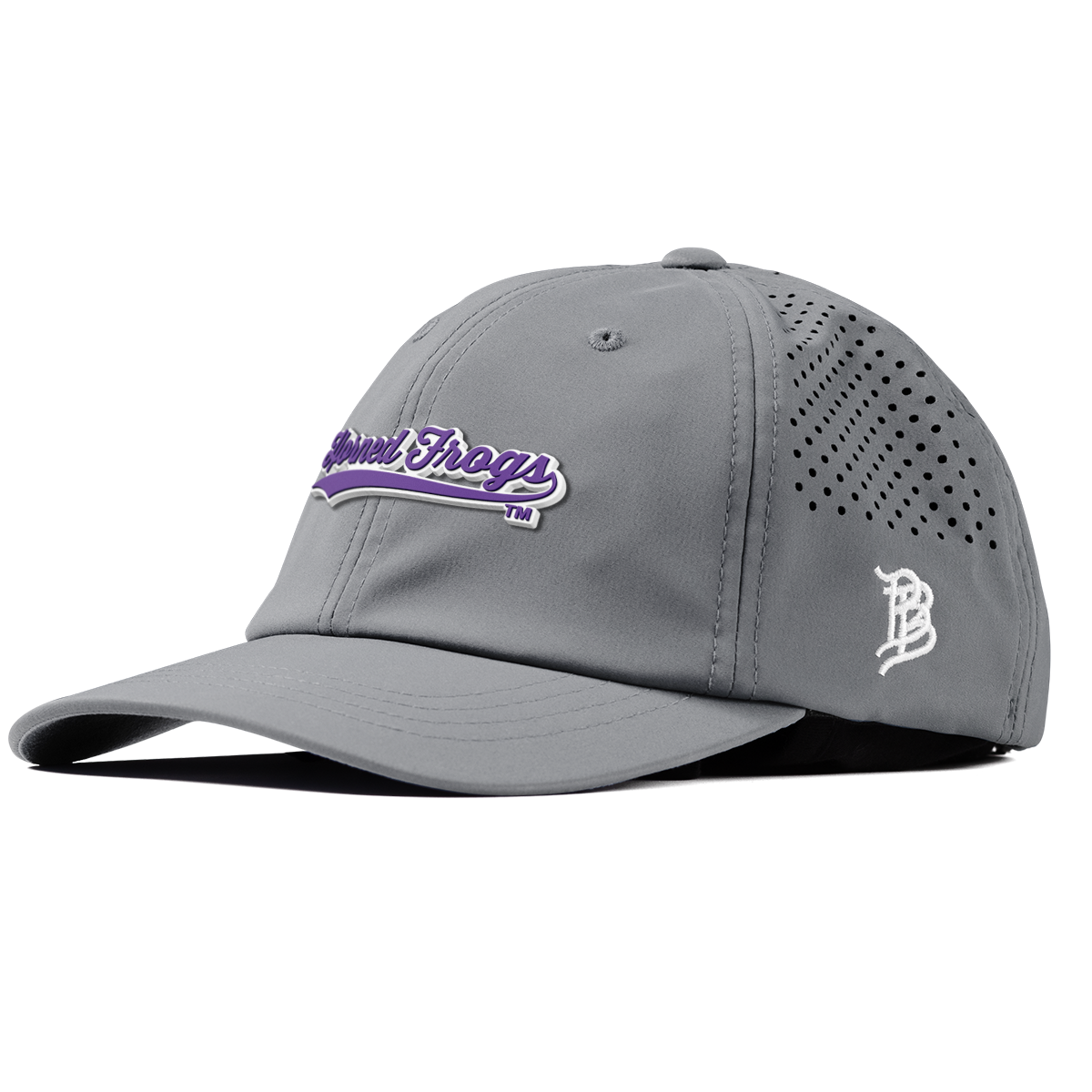 Texas Christian University "TCU Horned Frogs Scripts" Performance Dad Hat Slate