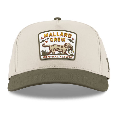 Mallard Crew Curved 5 Panel Canvas Beige/Vintage Loden