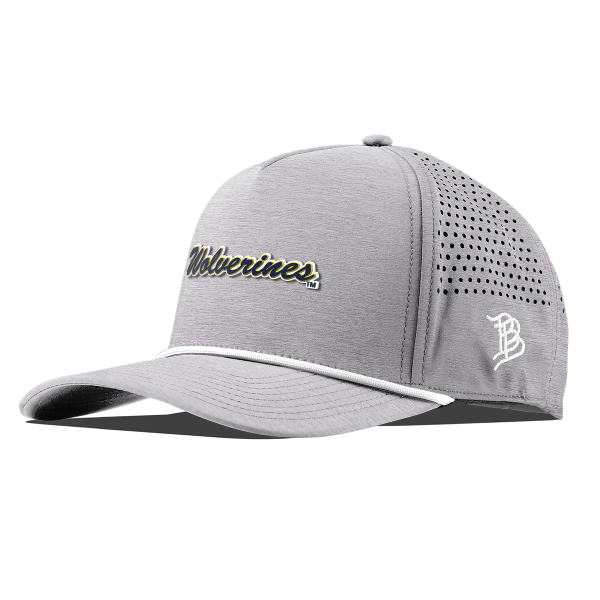 University of Michigan "Wolverines Script" Curved 5 Panel Rope Heather Gray