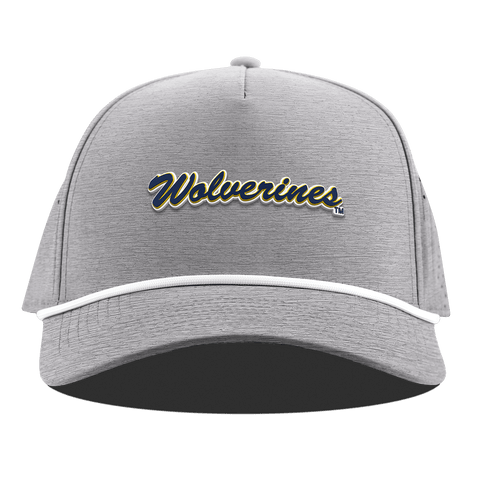 University of Michigan "Wolverines Script" Curved 5 Panel Rope Heather Gray