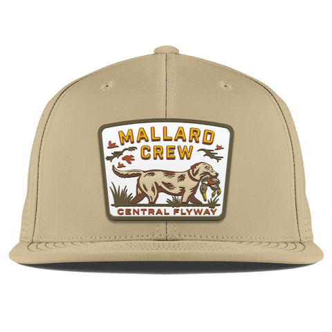 Mallard Crew Flat Elite XGen® Desert