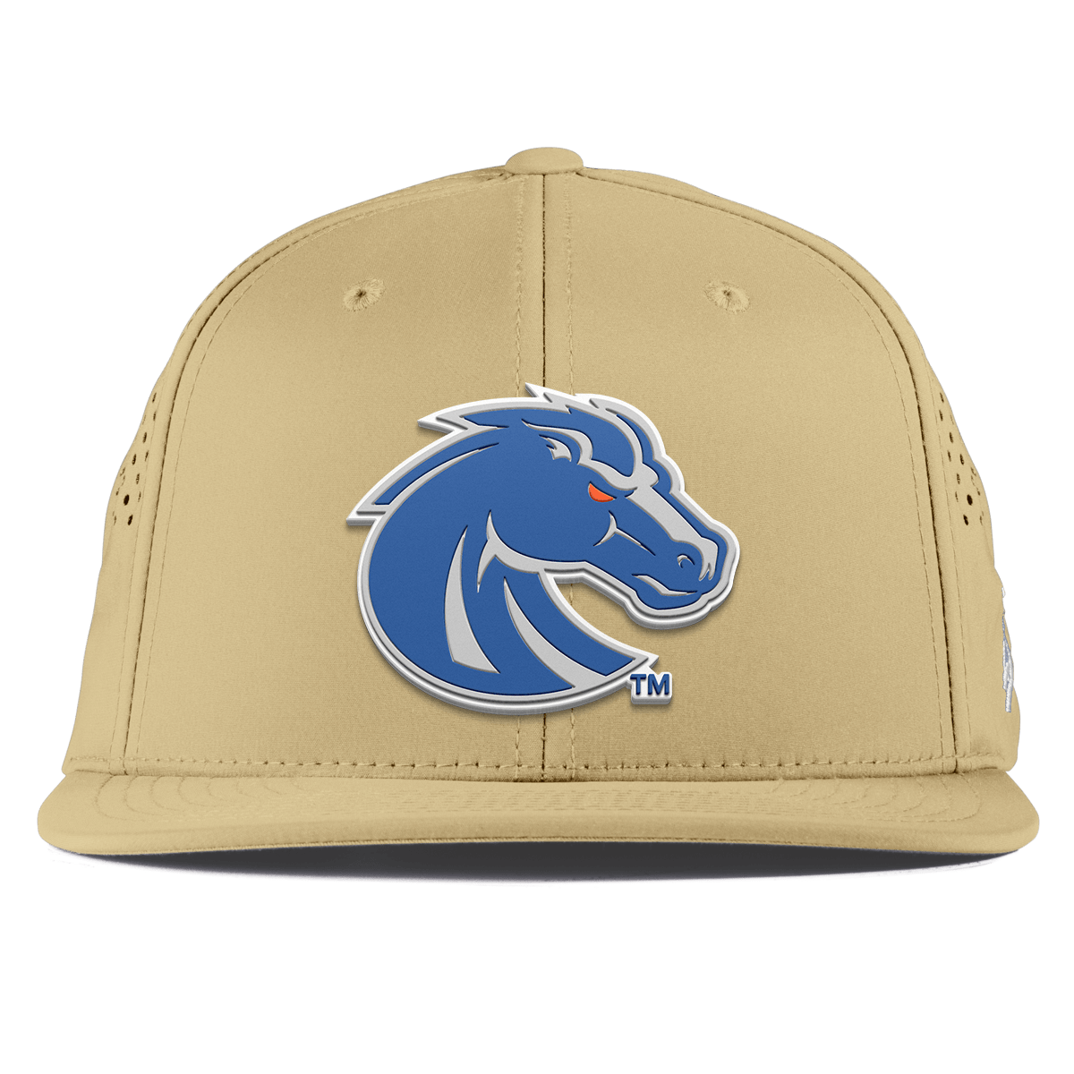 Boise State University "Boise State Broncos Gray" Flat Performance Desert