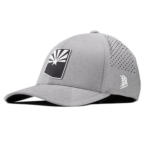 Arizona Vintage Curved Performance Heather Gray