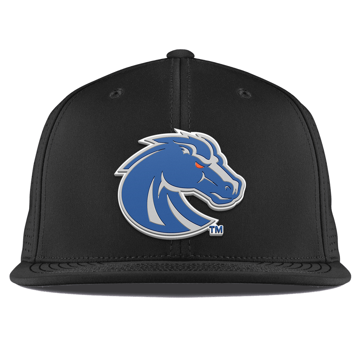 Boise State University "Boise State Broncos Gray" Flat Elite Black