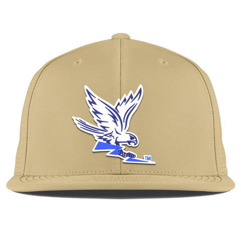 Air Force "Air Force Academy Falcon" Flat Elite Desert