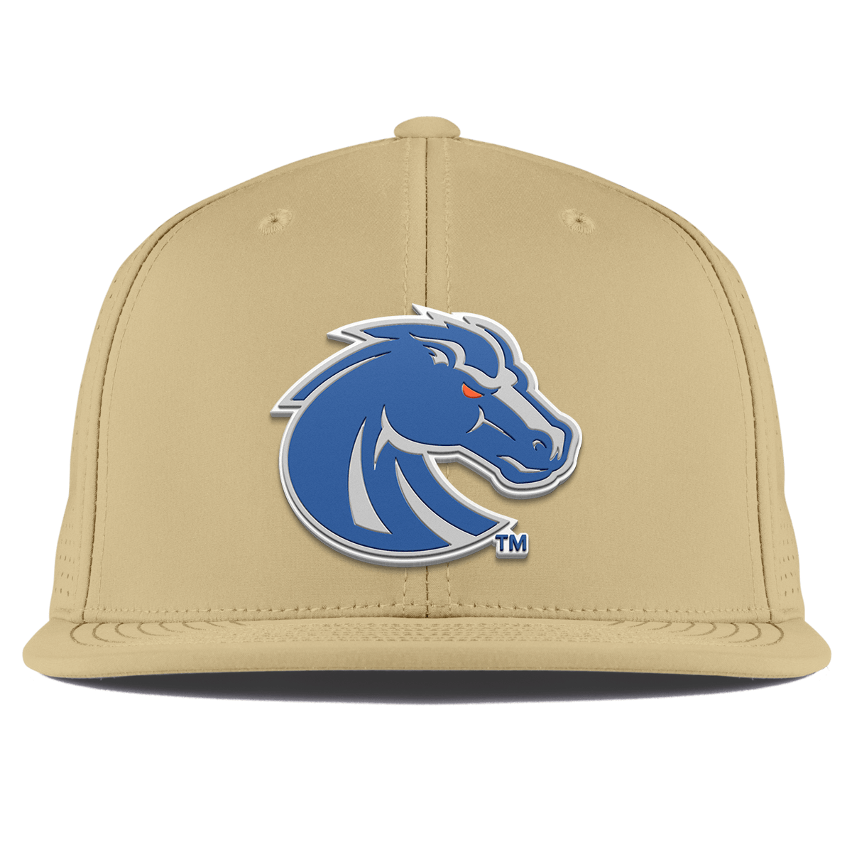 Boise State University "Boise State Broncos Gray" Flat Elite Desert