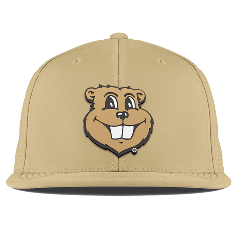 University of Minnesota "Goldy Gopher" Flat Elite Desert