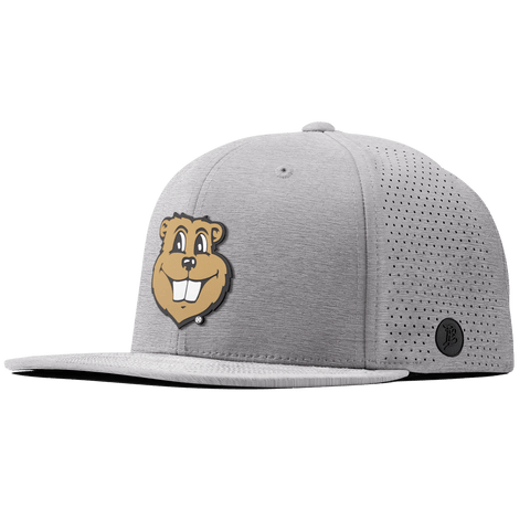 University of Minnesota "Goldy Gopher" Flat Elite Heather Gray