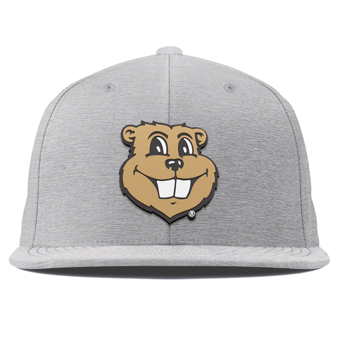 University of Minnesota "Goldy Gopher" Flat Elite Heather Gray