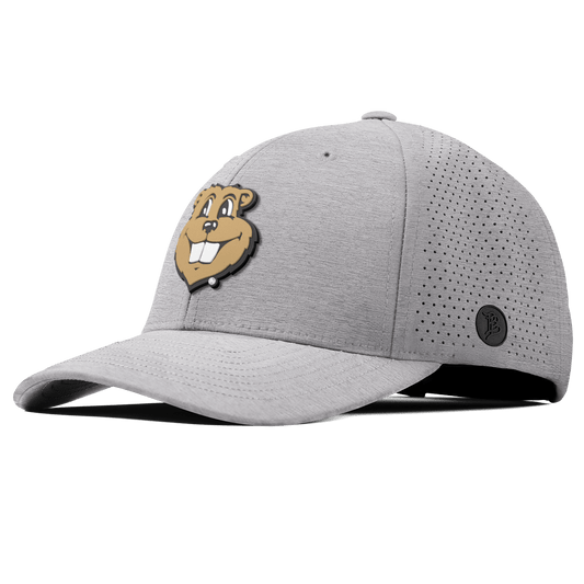 University of Minnesota "Goldy Gopher" Curved Elite Heather Gray