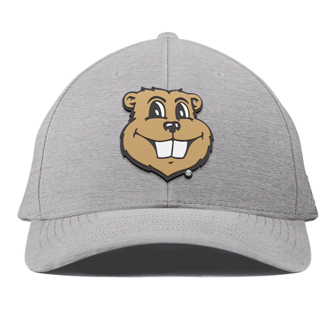 University of Minnesota "Goldy Gopher" Curved Elite Heather Gray