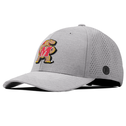 University of Maryland "Maryland Terrapin Team Logo" Curved Elite Heather Gray