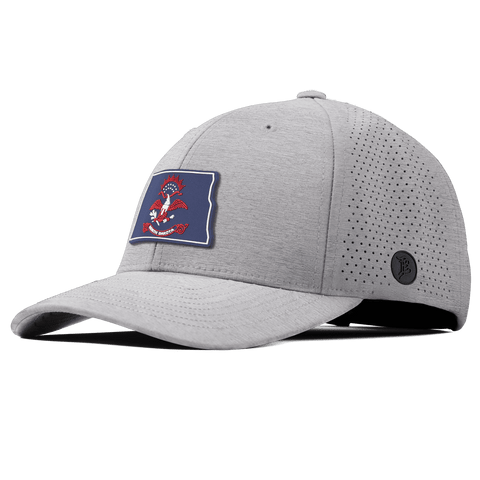 North Dakota Patriot Series Elite Curved Heather Gray 