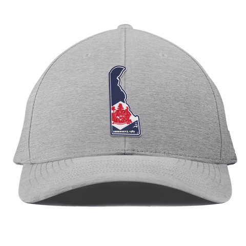 Delaware Patriot Series Curved Elite XGen™ Heather Gray