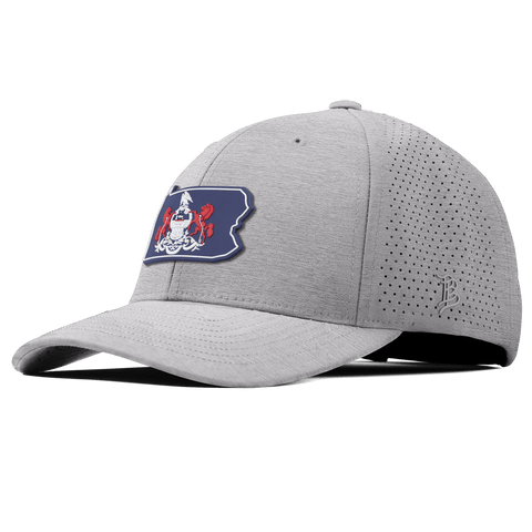 Pennsylvania Patriot Series Curved Elite XGen™ Heather Gray