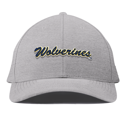 University of Michigan "Wolverines Script" Curved Elite XGen™ Heather Gray